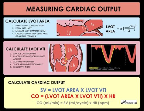 Animation Cardiac Output 的图像结果