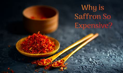 Why is Saffron So Expensive? - The Coconut Mama