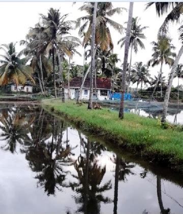 Boni 's Aqua Farm | Kerala Agri Tourism Network | Responsible Tourism ...