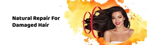 Buy Nyle Damage Repair Herbal Shampoo, 800ml Online at Low Prices in ...