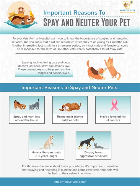 Benefits of Spaying and Neutering Your Pet