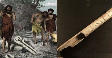 Bronze Age Man Made Music Instruments From Bones Of Dead Family