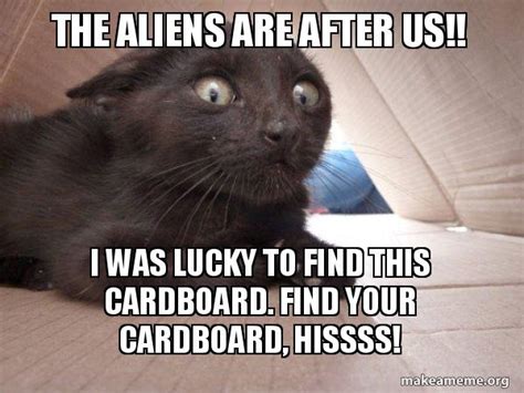 Alien Life Meme 的图像结果