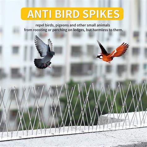 Recie Bird Spikes for Pigeons and Other Small Birds-16 Pack Cover 17 ...