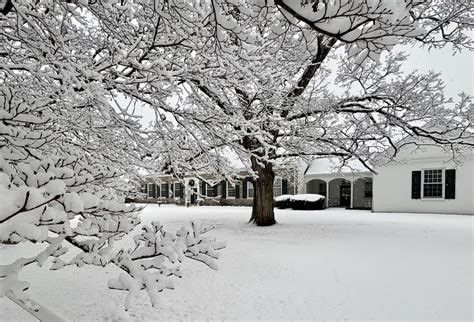 Superintendent Recommends 4.6% Budget Increase Driven by Special ...