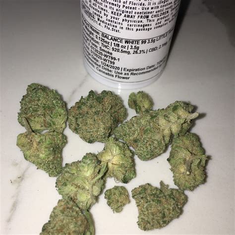 Strain Review: White 99 by GrowHealthy - The Highest Critic