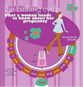 Buy The Birthing Cycle: What A Woman Needs To Know About Her Pregnancy ...