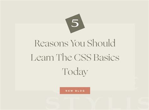 Image result for Basic CSS Lessons
