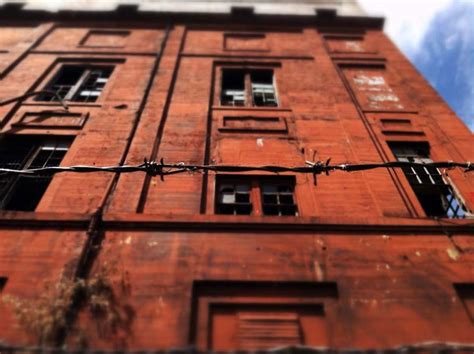 Camera Point of View 的图像结果