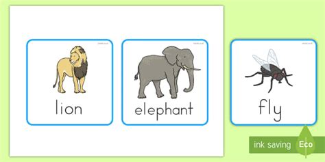 Vertebrates or Invertebrates Cards (teacher made) - Twinkl