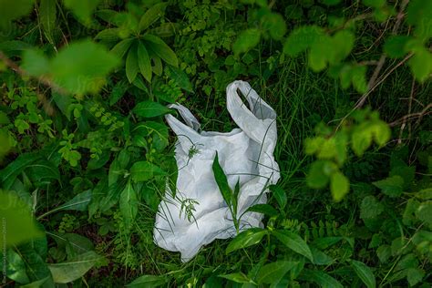 15 Serious effects of plastic bags – sustainme.in