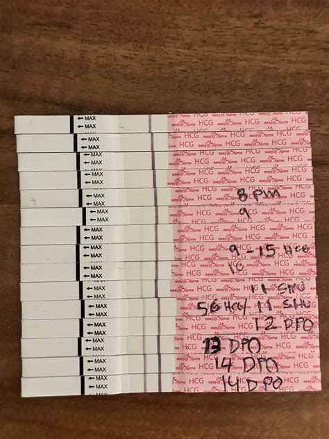 Officially 4 weeks today ( 14 DPO) : r/TFABLinePorn