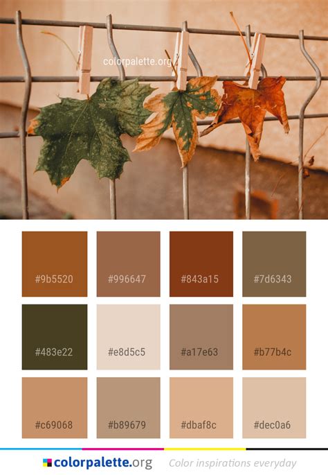 Image result for Color Pallette Text