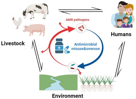 A Review of the Important Weapons against Antimicrobial Resistance in Sub-Saharan Africa