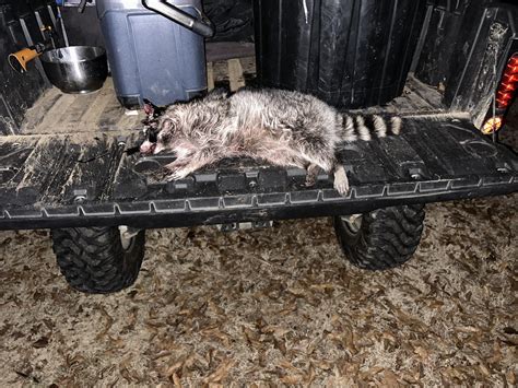 Image result for Hefty Hefty Hefty Commercial