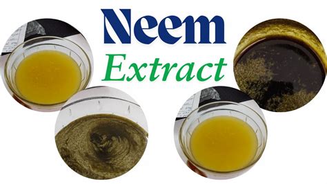 Neem Extract Oil Manufacturer from Nagpur