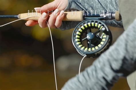 Image result for Hatch Fly Line Backing