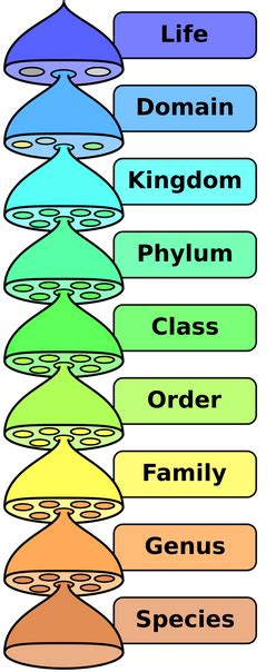 Image result for Taxonomy Code for LMSW