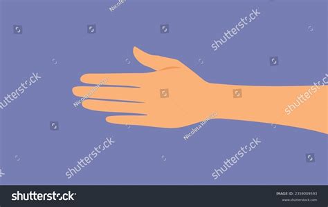 How to Draw a Front View of Hand 的图像结果