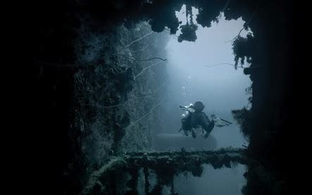 Image result for String Pool Images