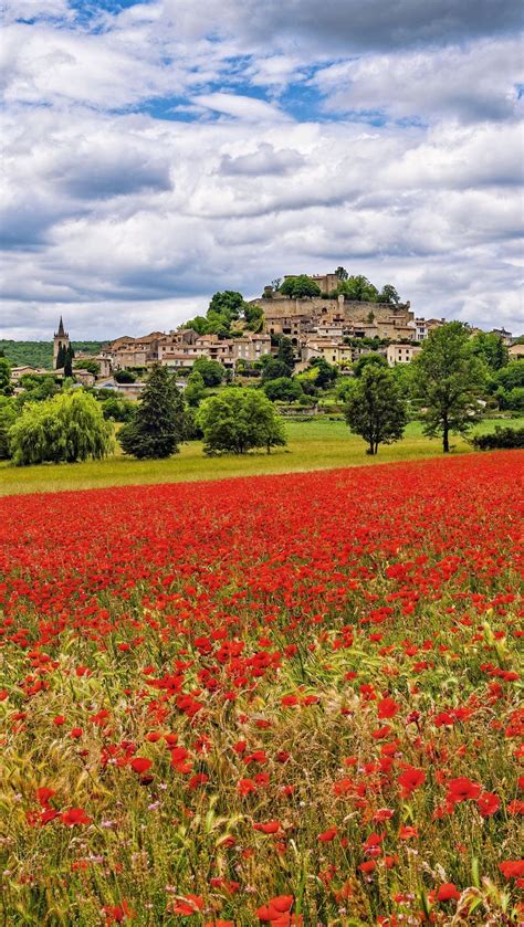Campo de flores rojas cerca de un pueblo Fondo de pantalla 4k HD ID:10776