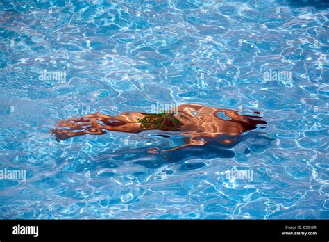 Swimming Pool Underwater 的图像结果