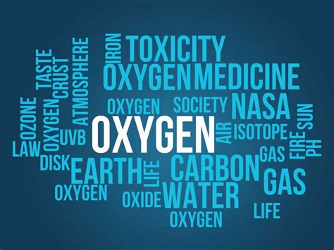 Oxygen Toxicity Accident Autopsy - DIVERS24.COM