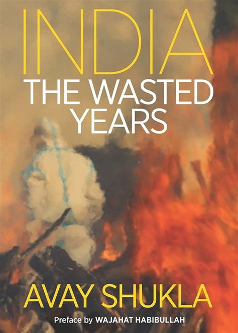 India: The Wasted Years | paranjoy.in