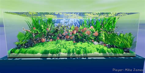 Computer Fish Games 的图像结果