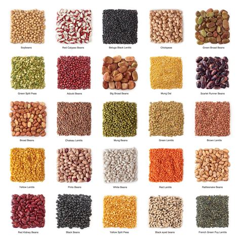 15 types of beans — and how to cook with them – Artofit