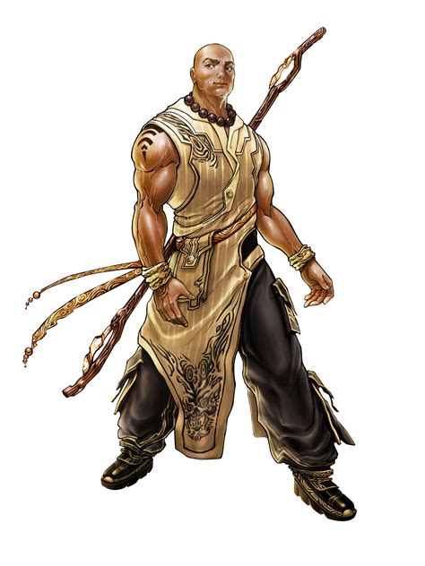 5th Brother Yang | Martial artist fantasy, Dnd monk, Fantasy rpg