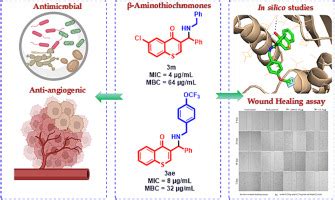Dual-acting β-Aminothiochromones: Design, synthesis, and evaluation as ...