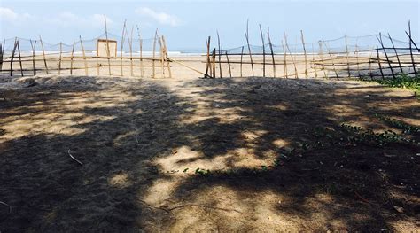 COCONUT LAGOON BEACH RESORT (Dapoli, Maharashtra) - Hotel Reviews ...