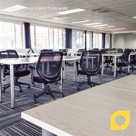 Image result for Lemon Tree for Office