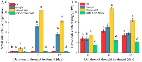The White Clover Single-Copy Nuclear Gene TrNAC002 Promotes Growth and ...