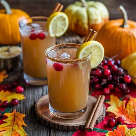 Apple Cider Punch Mocktail