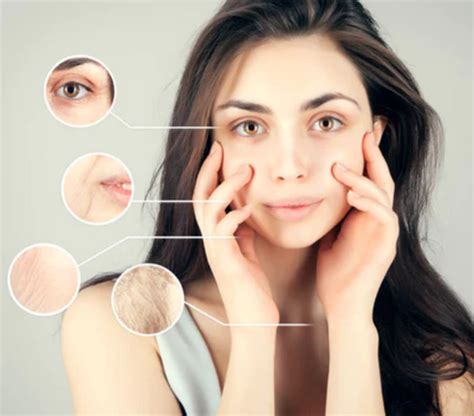 In-Vitro Efficacy Studies – Centre For Cruelty free Testing