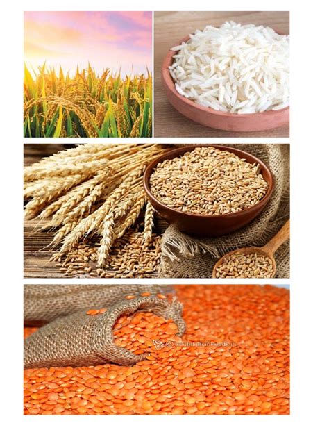 Image result for Project File of SST for Board