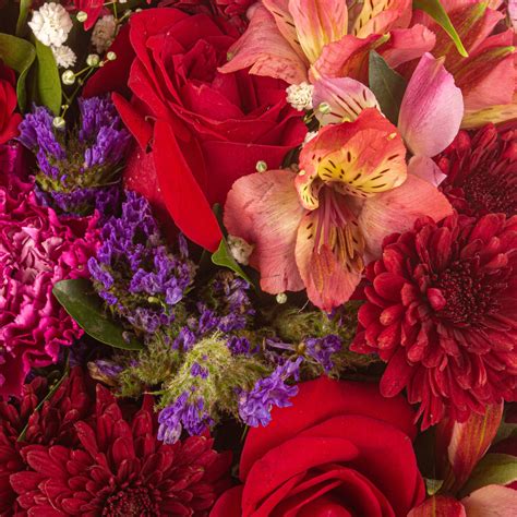 Housewarming Flowers Online | Same-Day Flowers Delivery