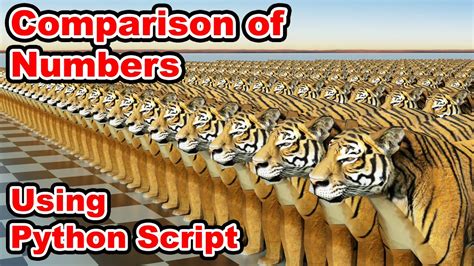 Image result for Number Comparison