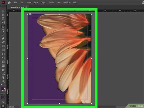 Image result for InDesign Background