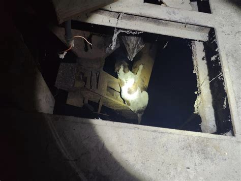 Dog rescued after falling into hole in Ogden warehouse