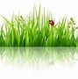 Image result for Bunny Eating Grass Drawing