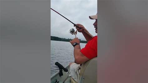 Image result for Shellcracker Fishing 2014