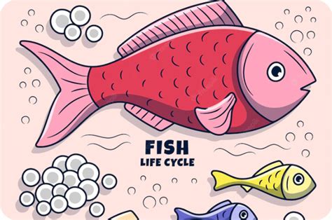 Image result for Fish Reproducing