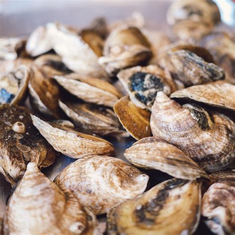 Savannah Oyster Company (@savannahoystercompany) • Instagram photos and ...