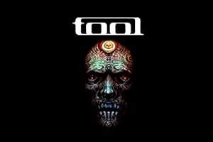 Tool Band Posters Set, 5 Posters Set, (12x18), 300 GSM, with Matte ...