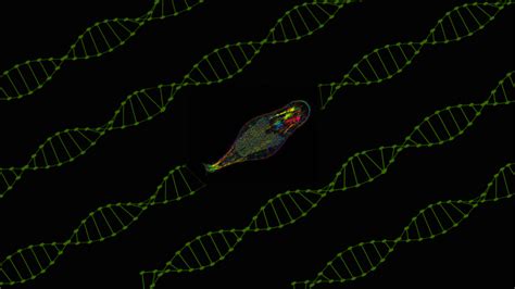 Image result for Define Modification