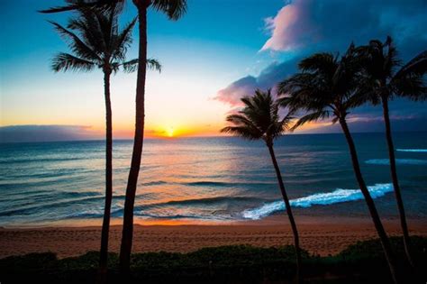 THE BEST Beach Resorts in Ka'anapali (with Prices) - Tripadvisor