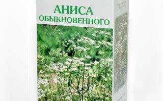 Анис лечебные свойства и противопоказания